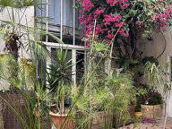 Studio À Louer Montpellier 577601-1