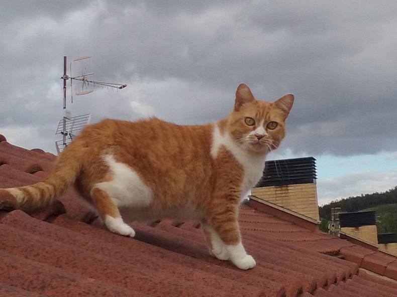 Gastgezin Iza 175733-5