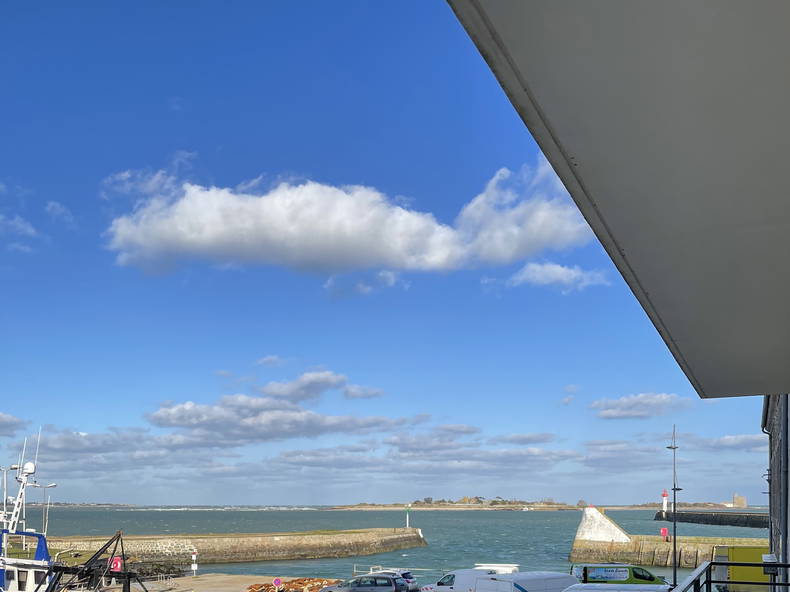 Cały Dom Saint-Vaast-la-Hougue 253495-3