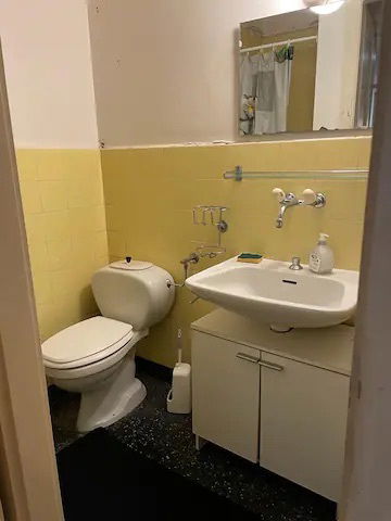 Entire Home Vevey 259978