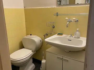 Gehele Woning Vevey 259978-2