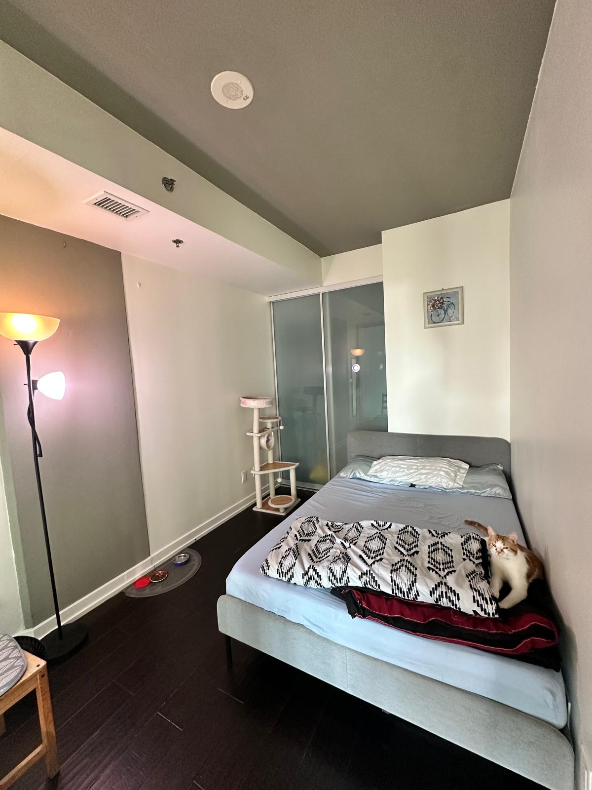 Chambre Chez L'habitant Toronto 387873
