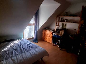 Roomlala | Para alquilar una habitación en una casa particular