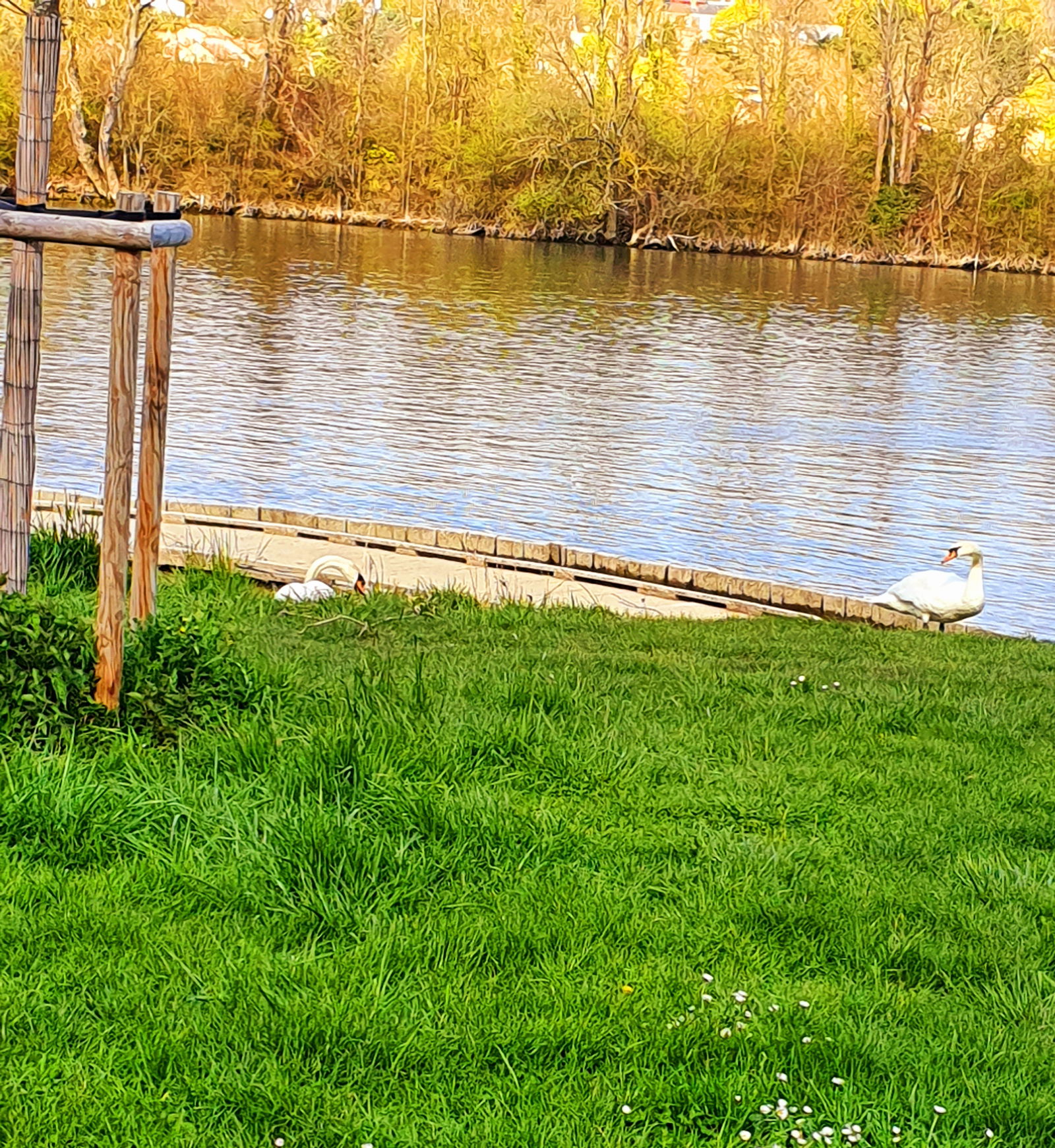 Collocazione Ris-Orangis 257692