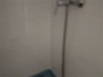 Logement Entier La Ferté-Sous-Jouarre 306463-4