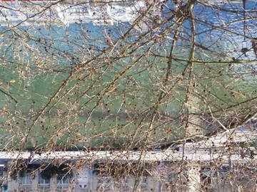 Homestay Paris 132079-7