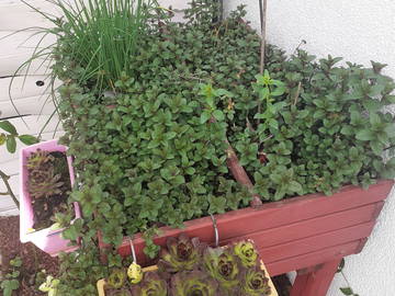 Chambre Chez L'habitant La Queue-En-Brie 325351-9