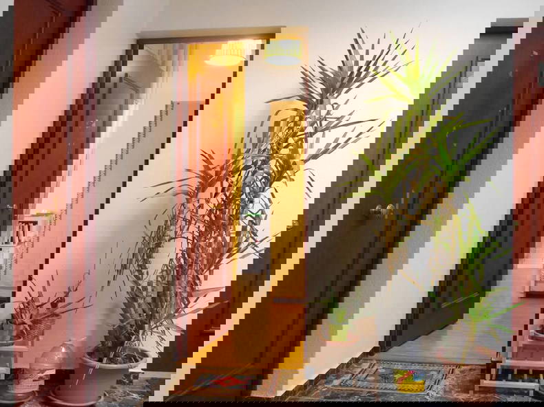 Hela Huset Genève 263768-2