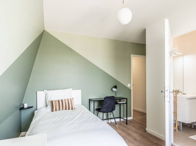 Colocation Chelles 250608-5