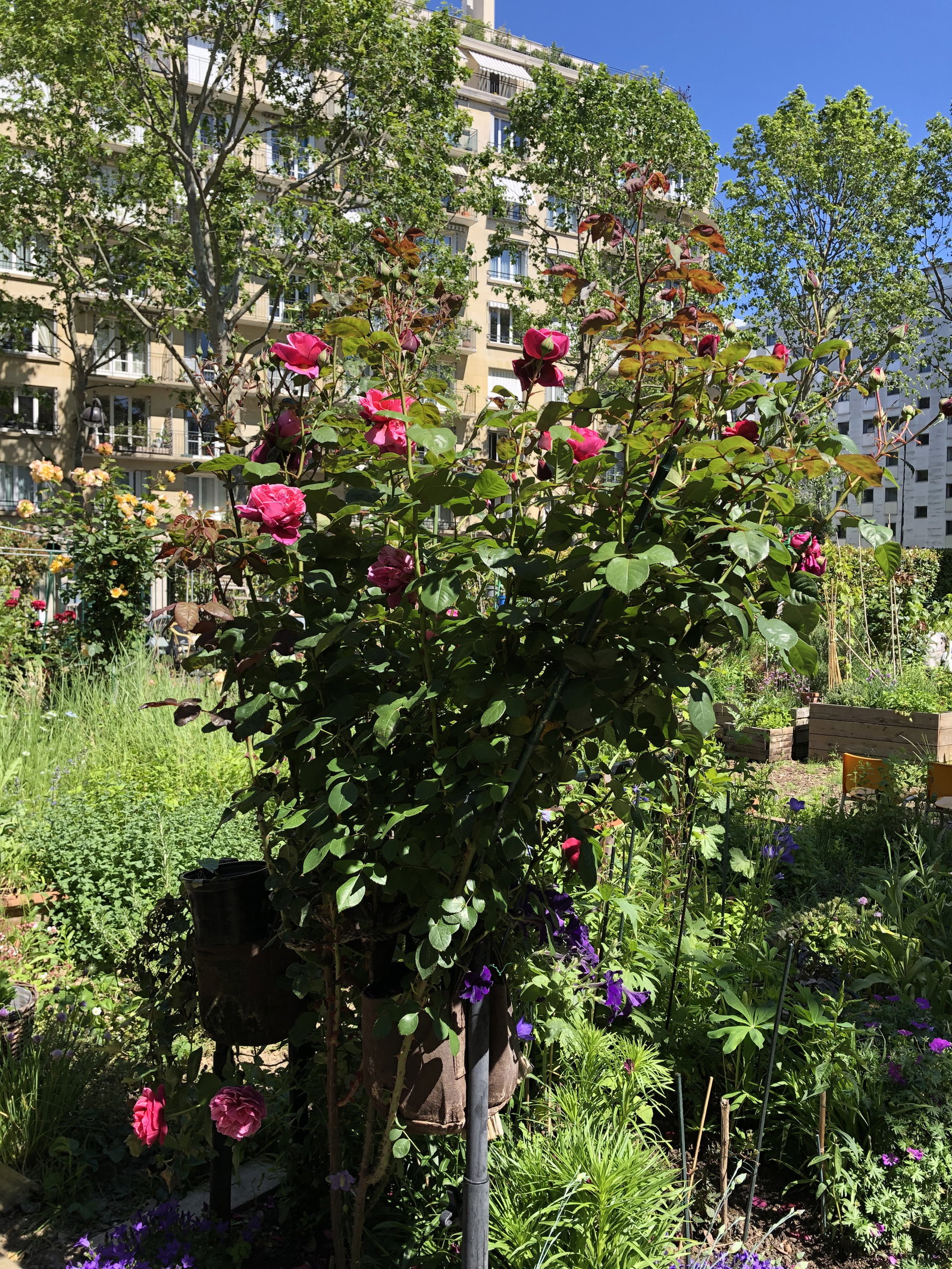 Zakwaterowanie U Rodziny Paris 263851