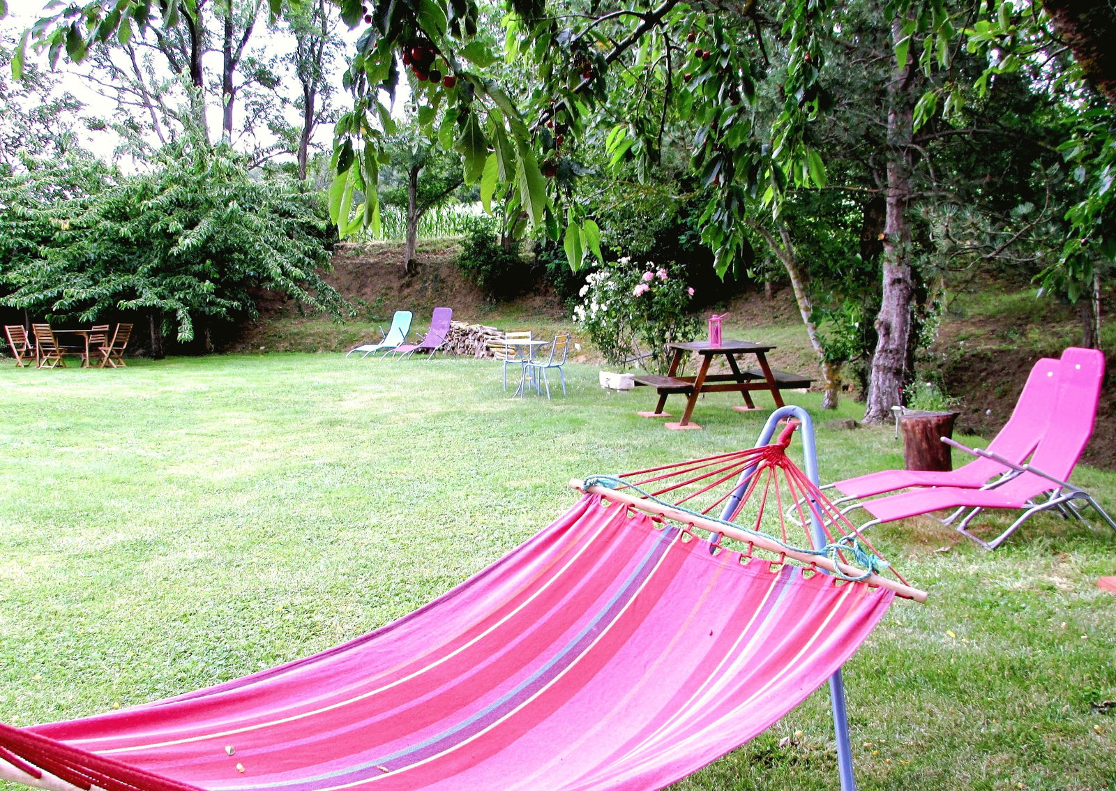 Homestay Lagarde 265427