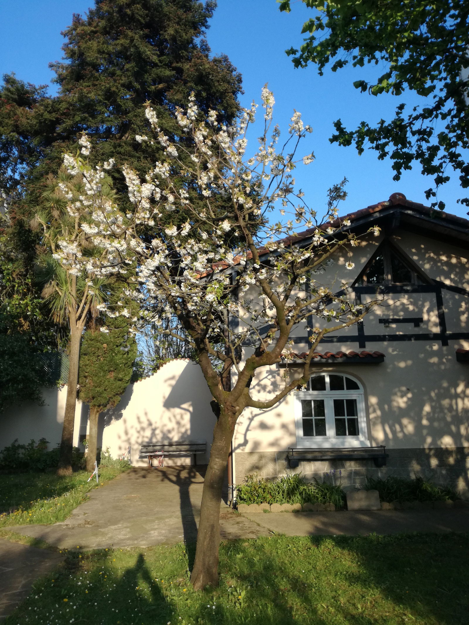 Oberoende Studio Hendaye 177207