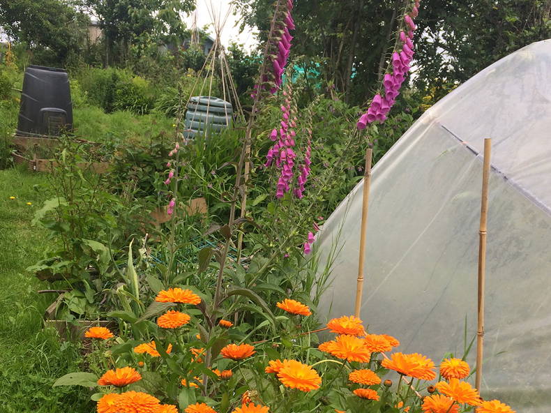 Homestay Ashbrittle 174962-2