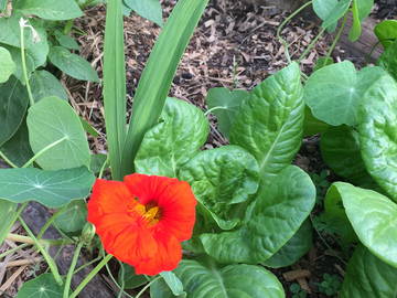 Chambre Chez L'habitant Ashbrittle 174962-6