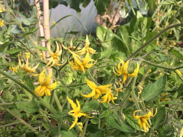 Chambre Chez L'habitant Ashbrittle 174962-11