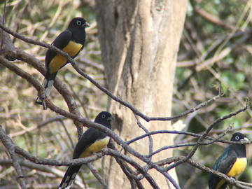Chambre D'hôte Guanacaste Province 187343-5