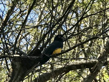 Chambre D'hôte Guanacaste Province 187343-6