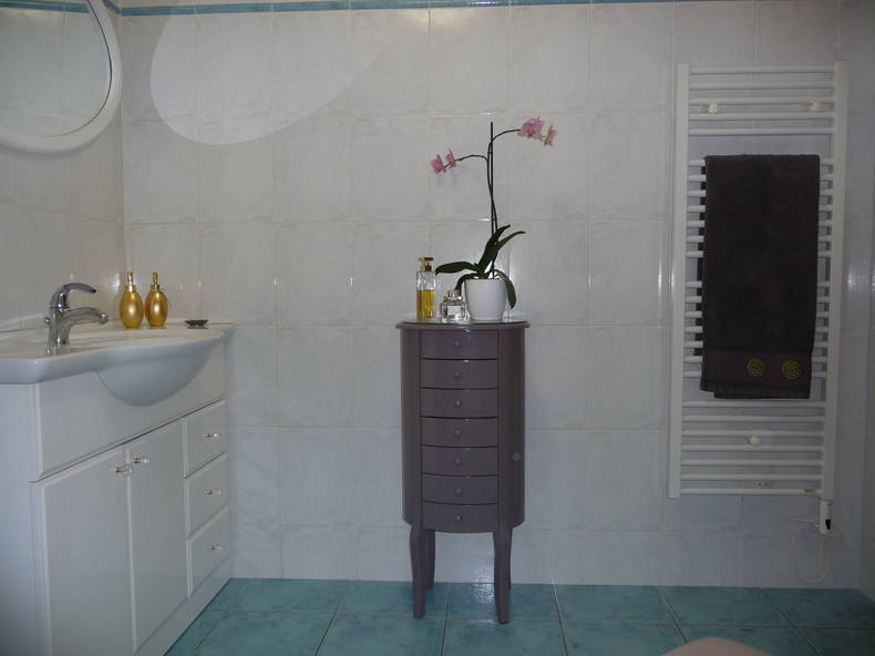 Chambre Chez L'habitant Toulouse 93904-5