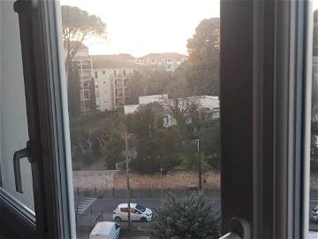 Room For Rent Montpellier 265171