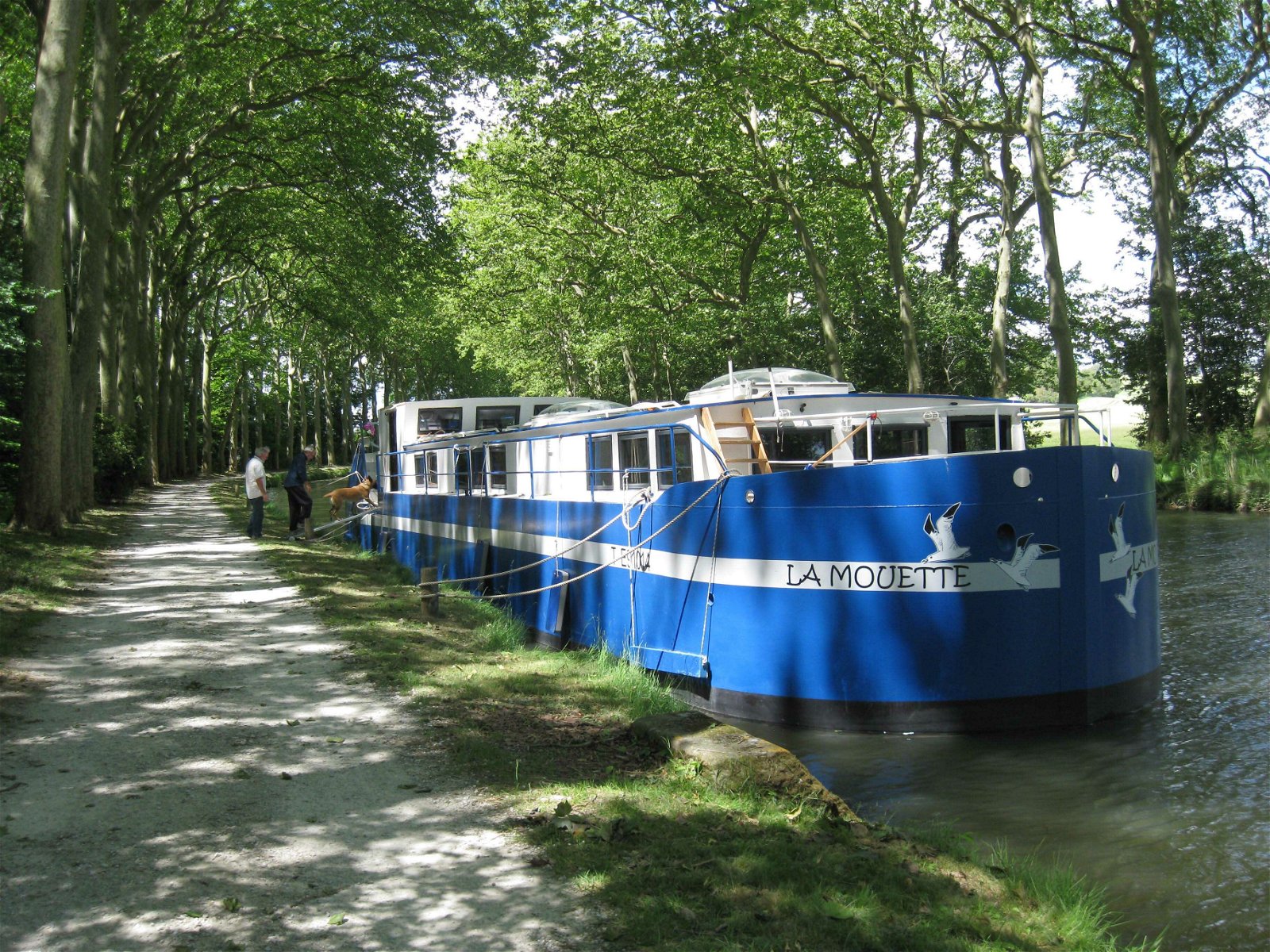 Gästrum Bram 123468