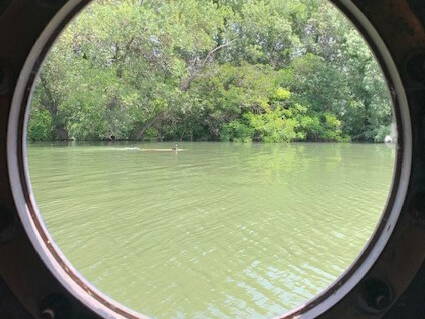 Gastgezin Arles 258382-5