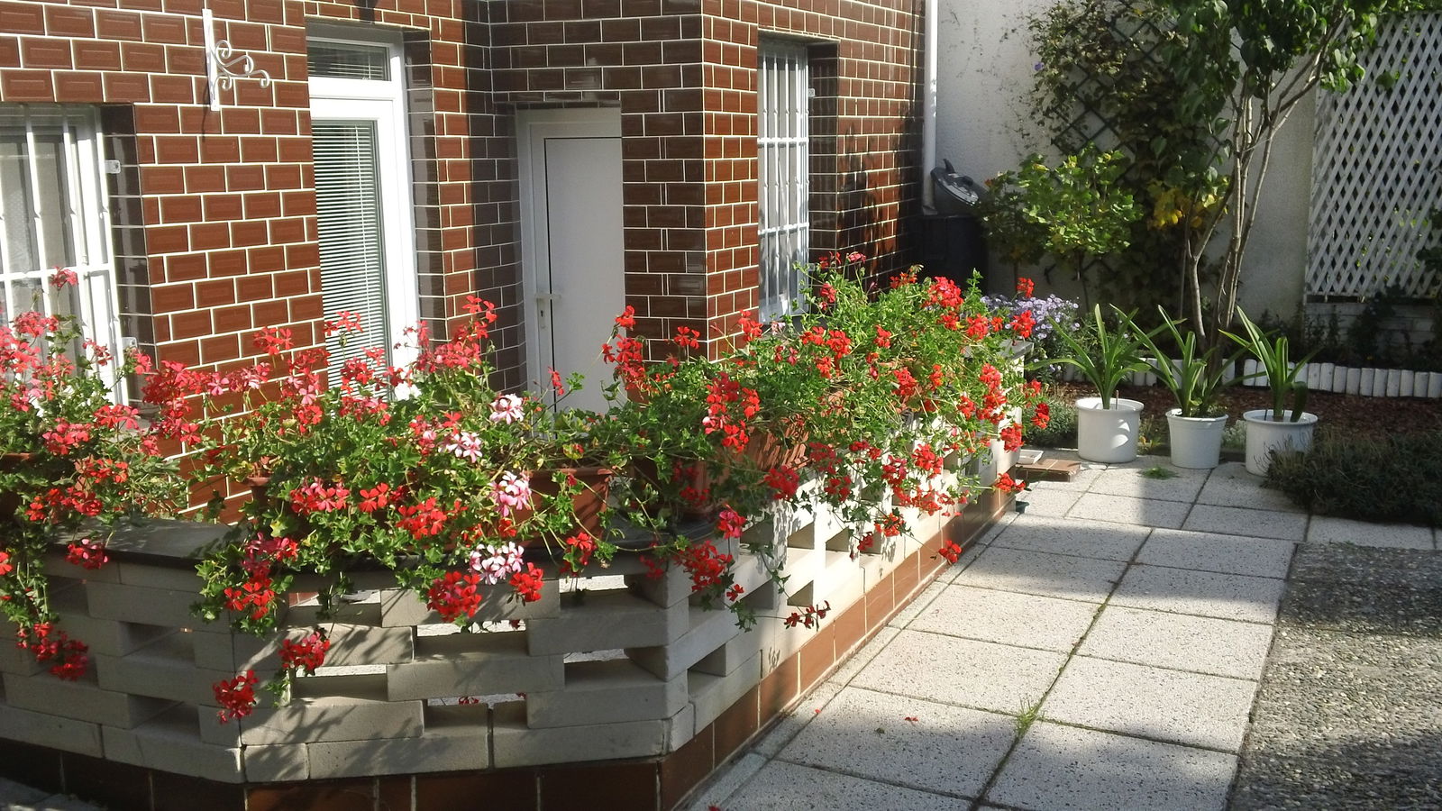 Hospedagem Em Casa De Família Hlavní město Praha 232498