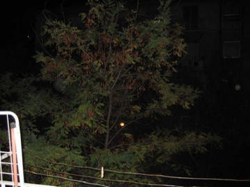 Quedarse En Casa Zaragoza 117506-7