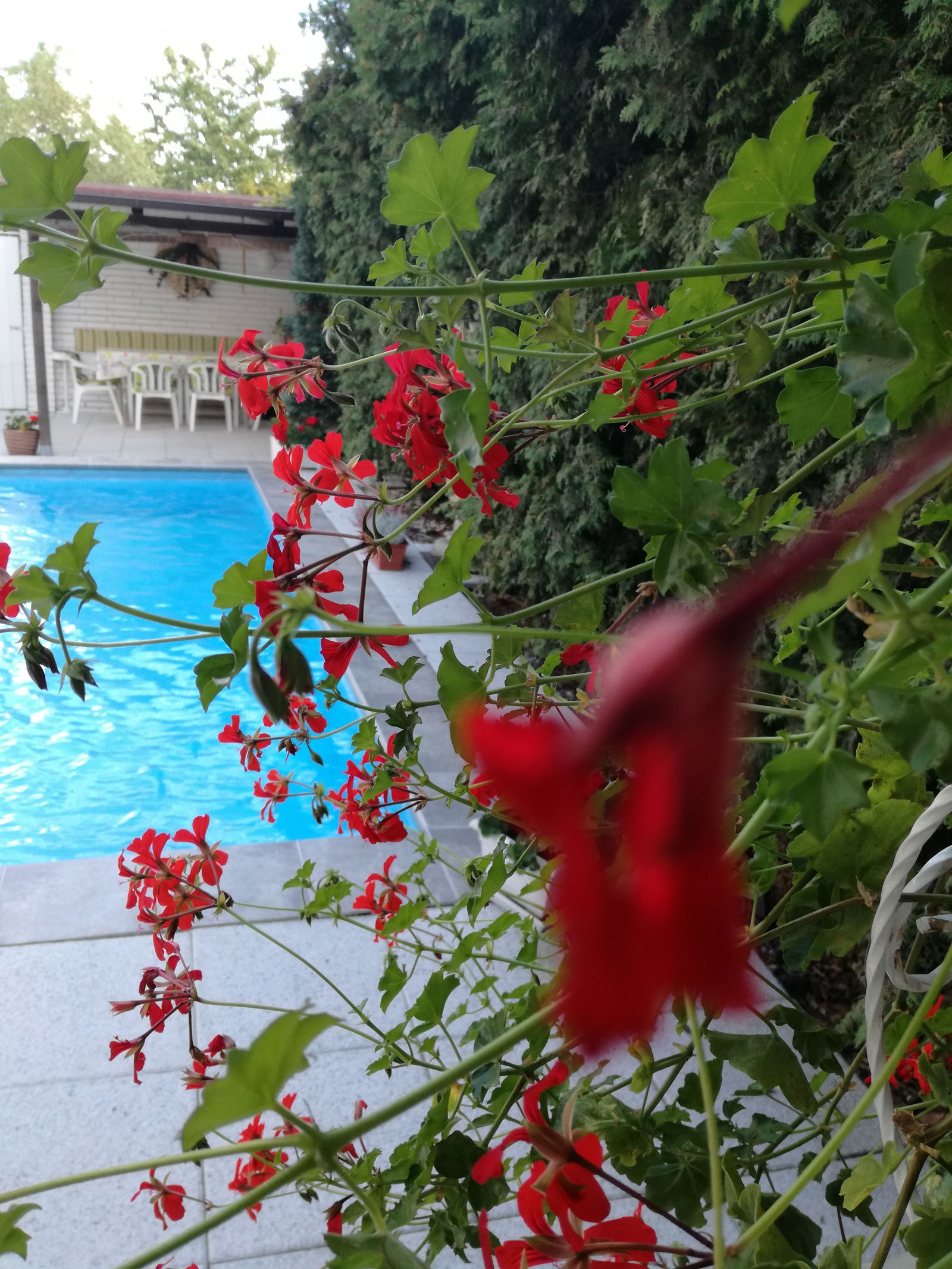 Hemvistelse Hlavní město Praha 232498