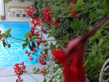 Chambre Chez L'habitant Hlavní Město Praha 232498-12