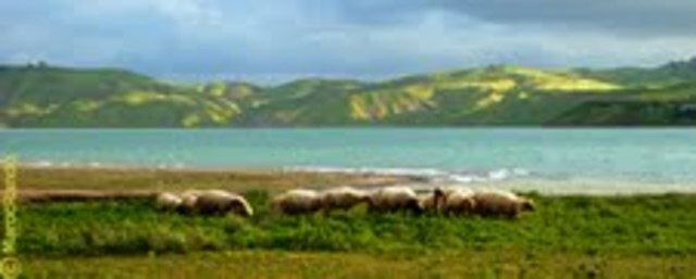 Camere Per Gli Ospiti Tafrant 16095