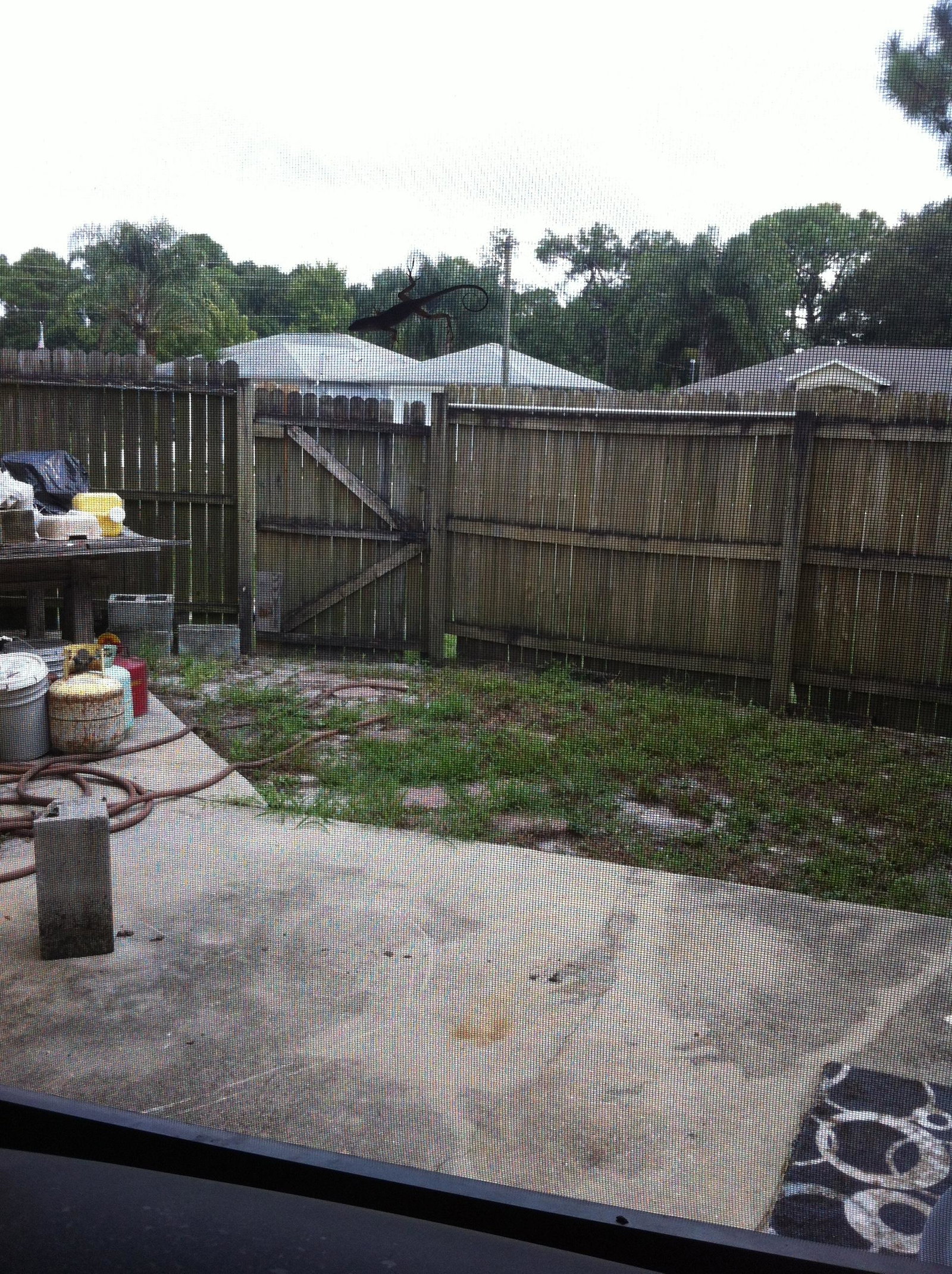 Camere Per Gli Ospiti Cocoa 111924