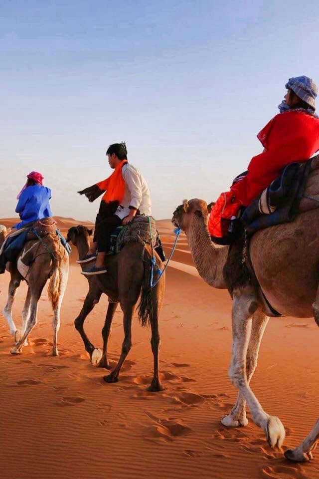 Famiglia Merzouga 147388