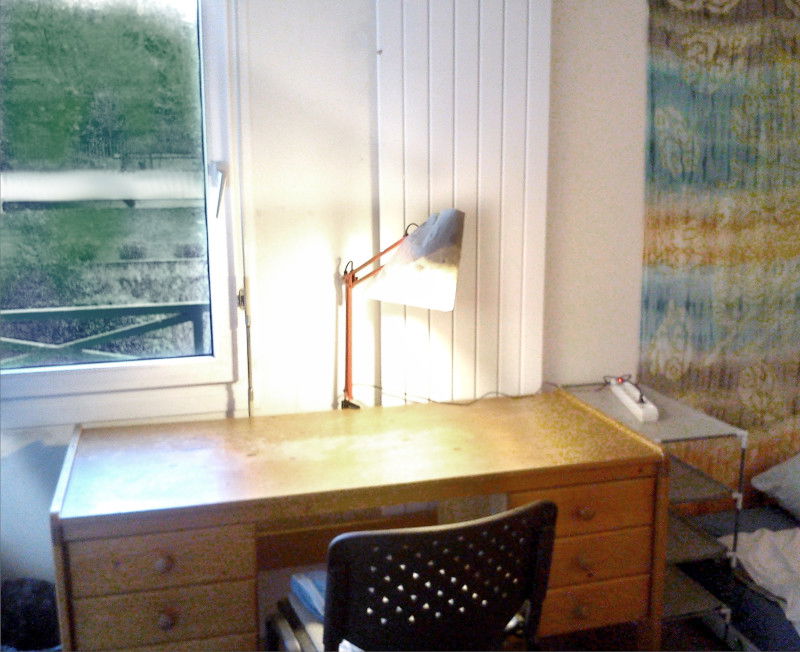 Chambre Chez L'habitant Lyon 243639