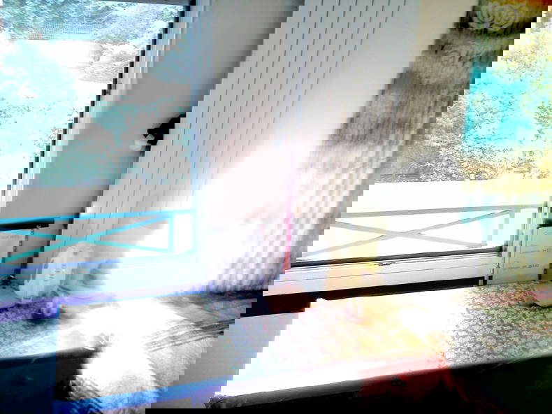 Chambre Chez L'habitant Lyon 243639-2