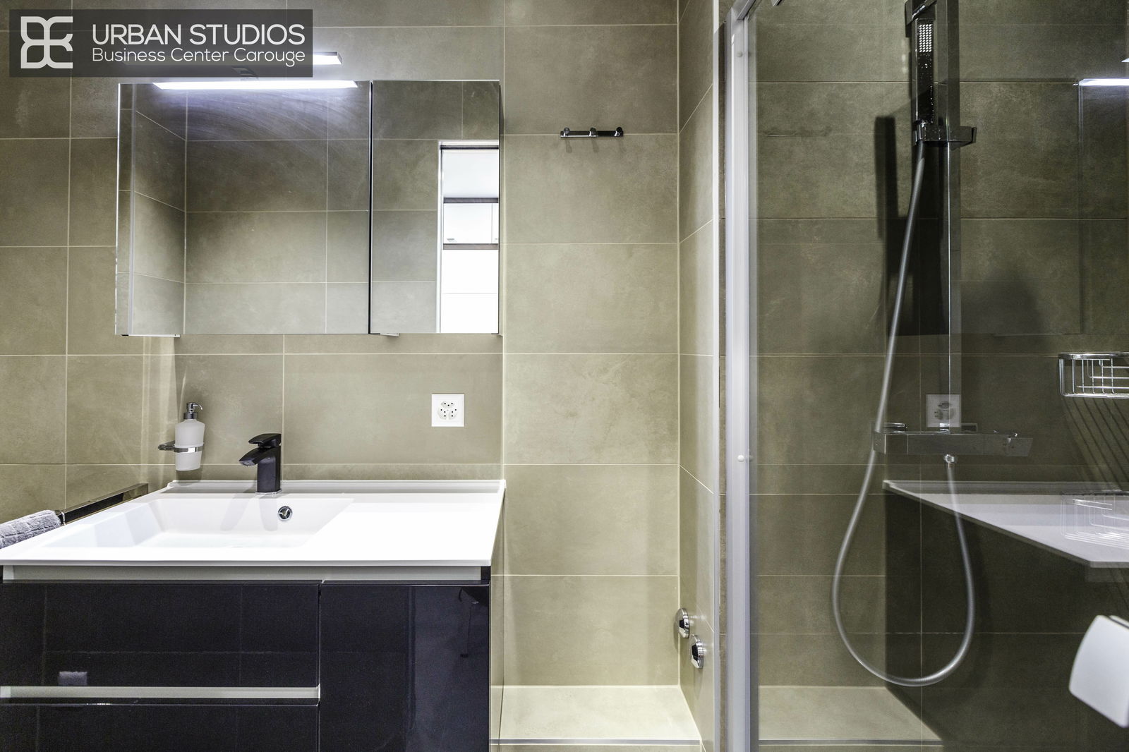 Collocazione Carouge 183222