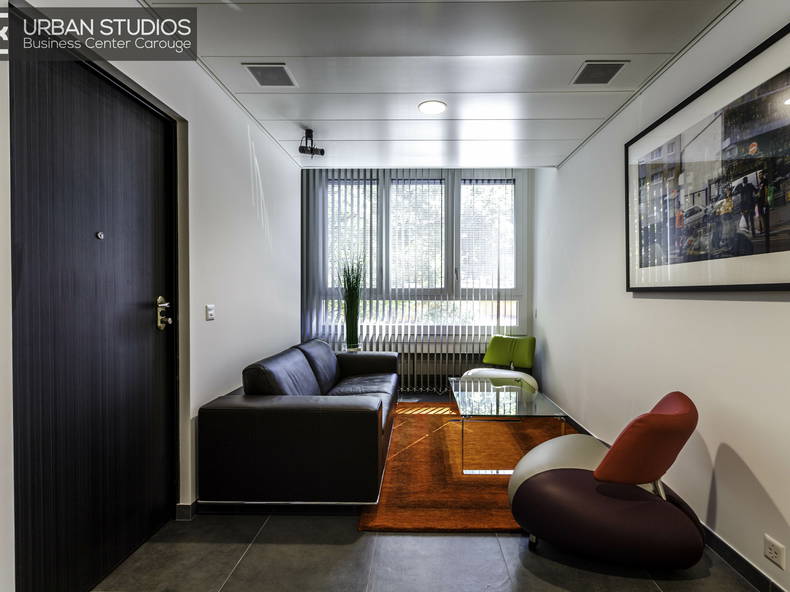 Kolokasie Carouge 183222-1