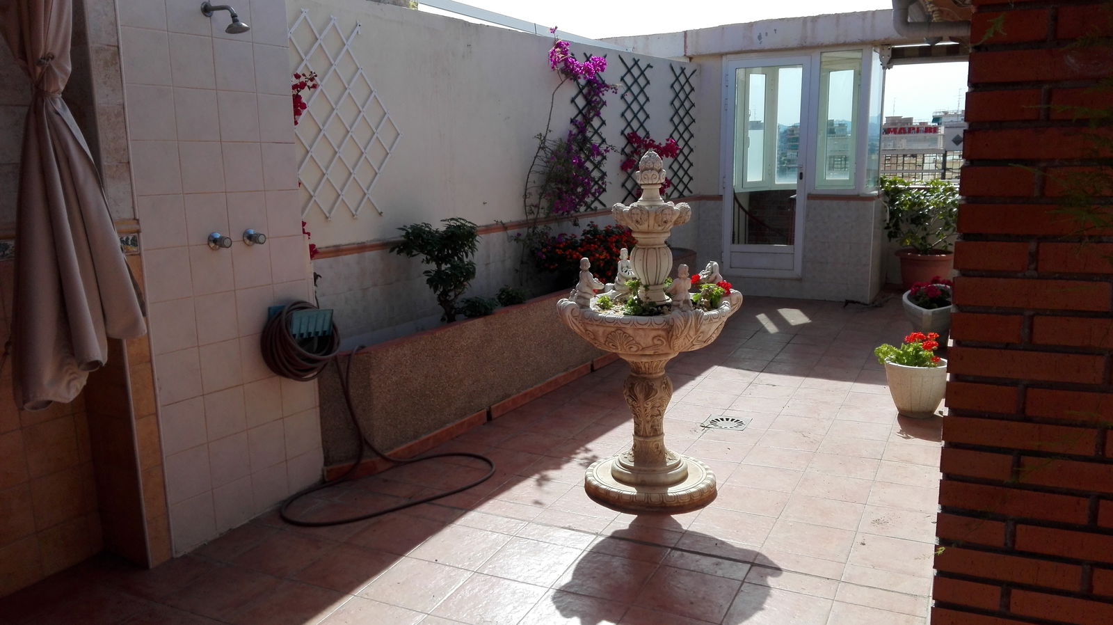 Homestay Alicante 176212