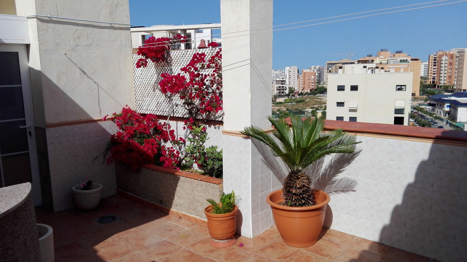 Homestay Alicante 176212