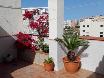 Homestay Alicante 176212-4