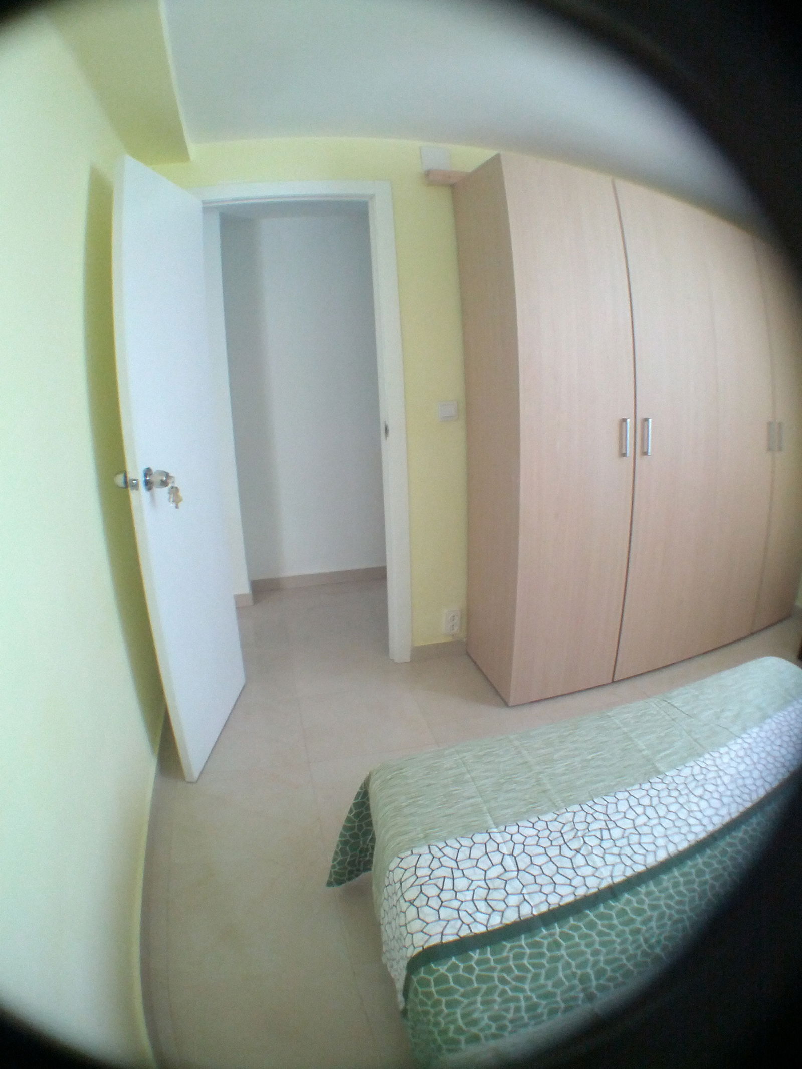 Colocation València 152825