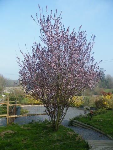 Estudio Independiente Cerisy-la-Forêt 45652