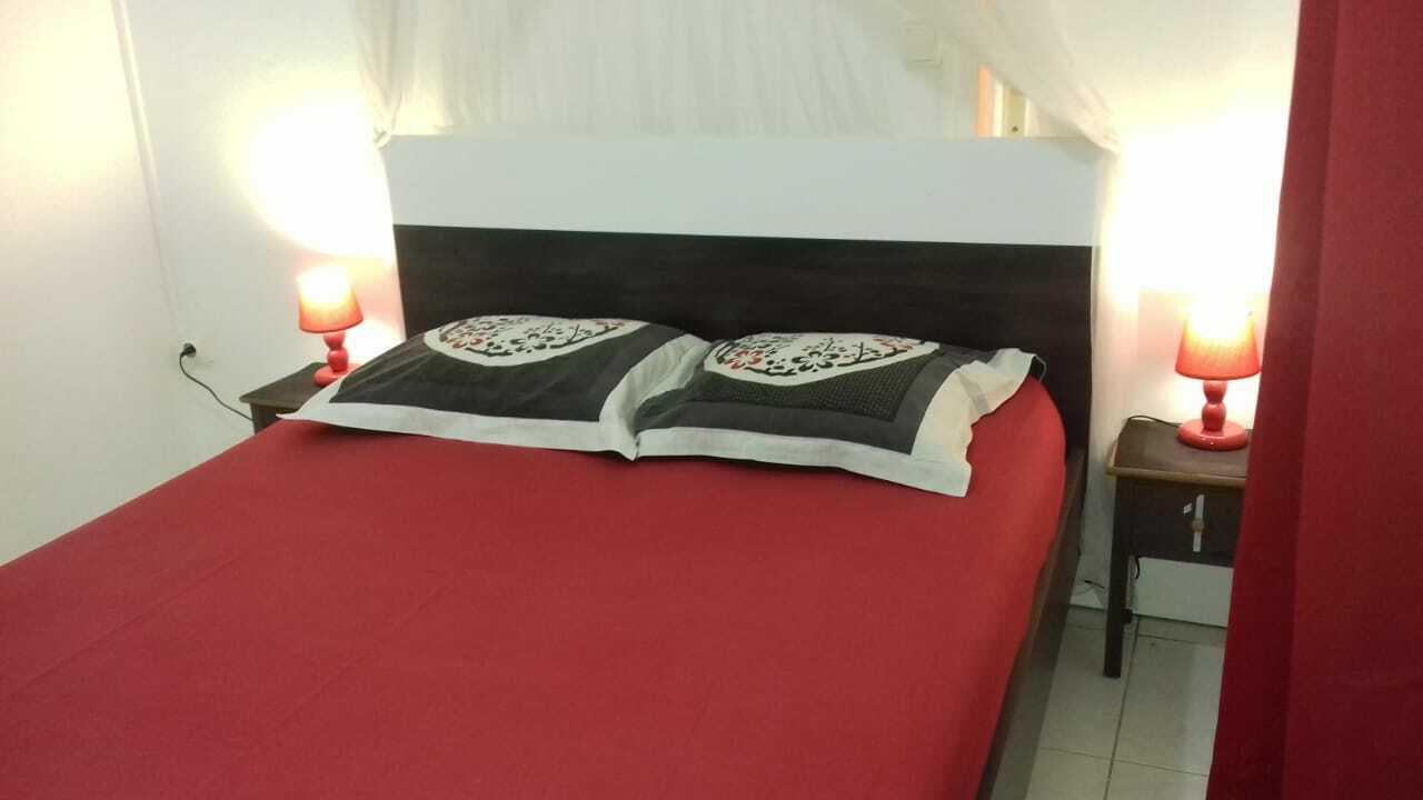 Estudio Independiente Caféière 216533