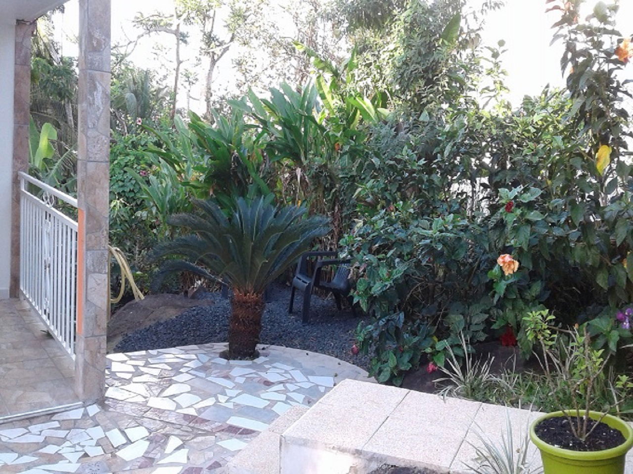 Estudio Independiente Caféière 216533