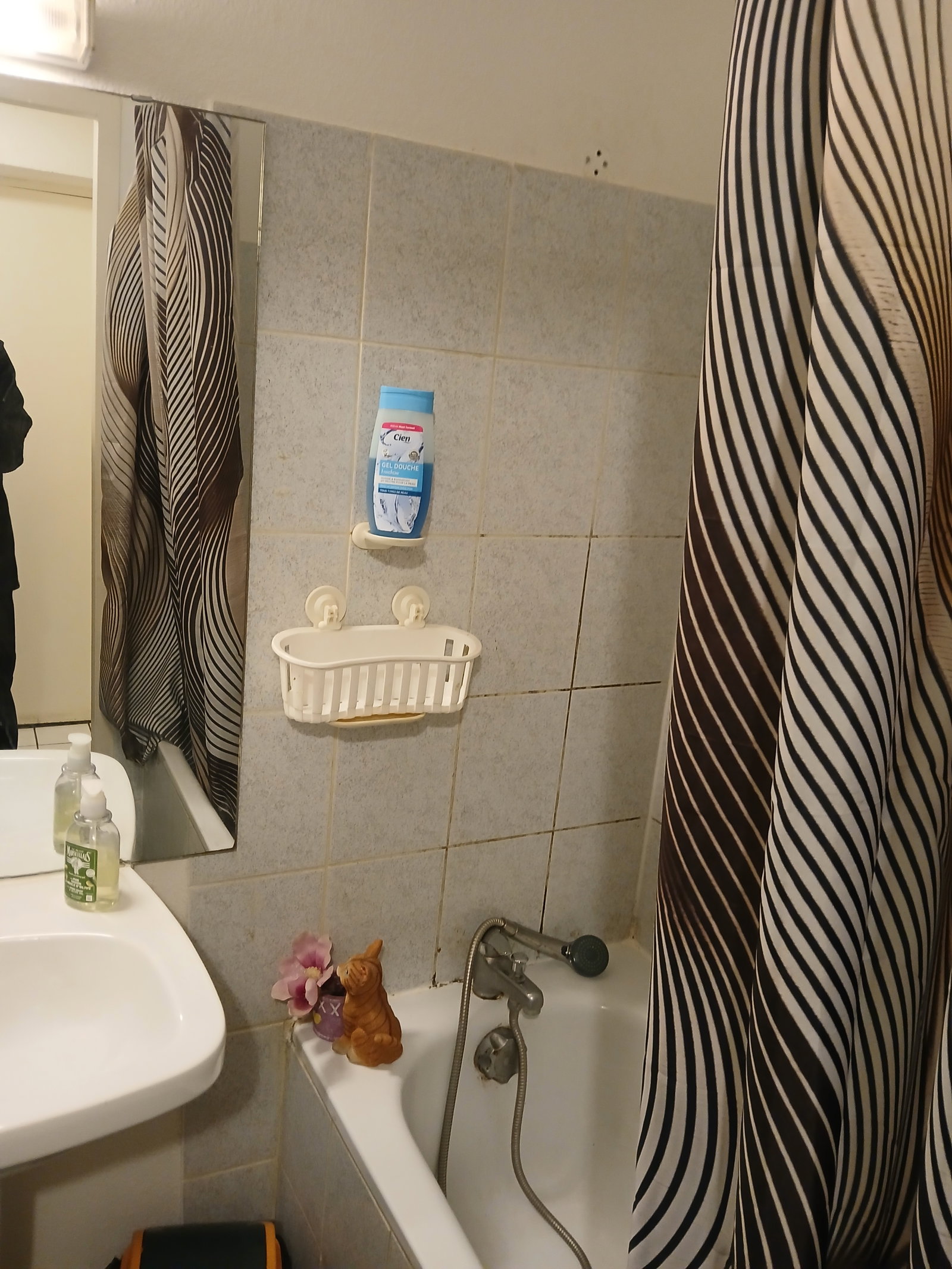 Hospedagem Em Casa De Família Toulouse 451253