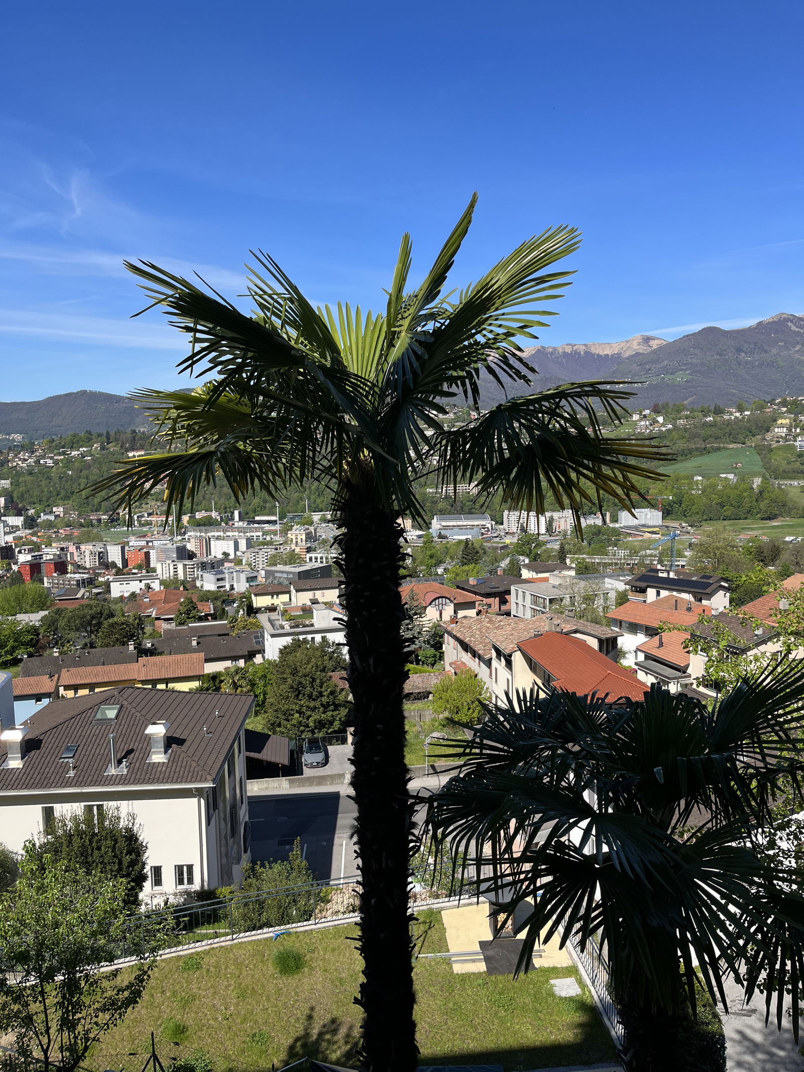 Estudio Independiente Lugano 460204