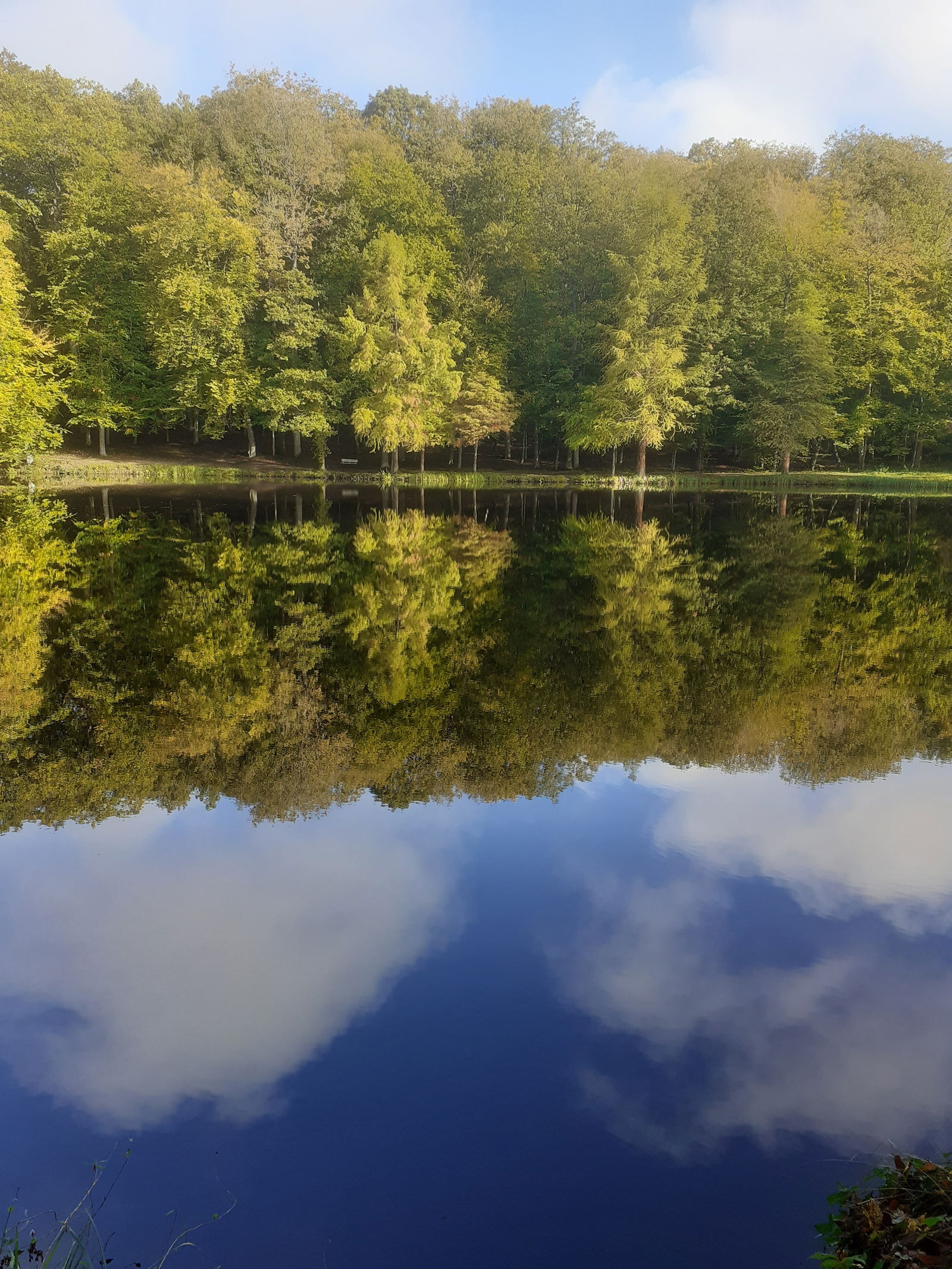 Quedarse En Casa Bellême 40225