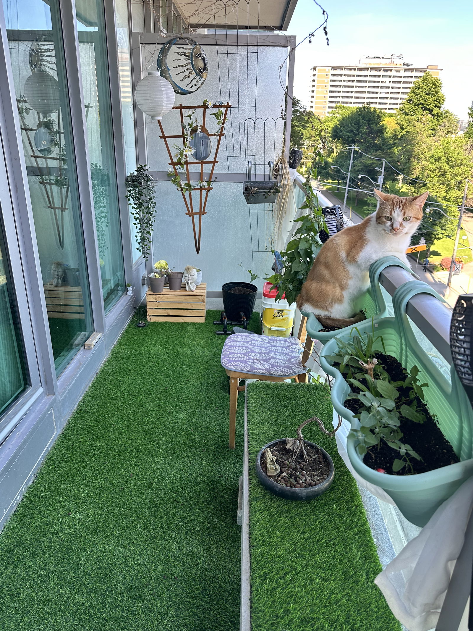 Homestay Toronto 387873