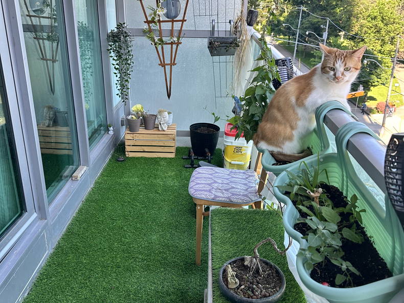 Hospedagem Em Casa De Família Toronto 387873-1