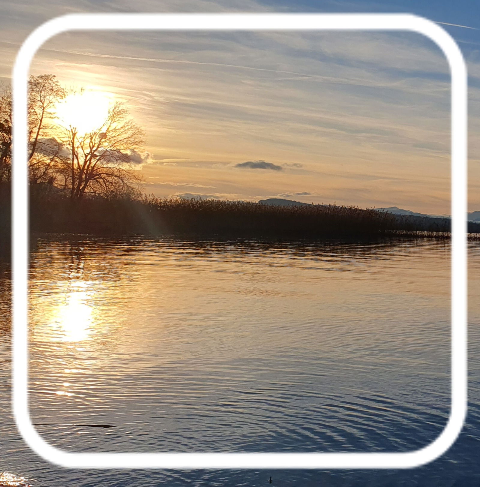 Famiglia Cheyres-Châbles 581622