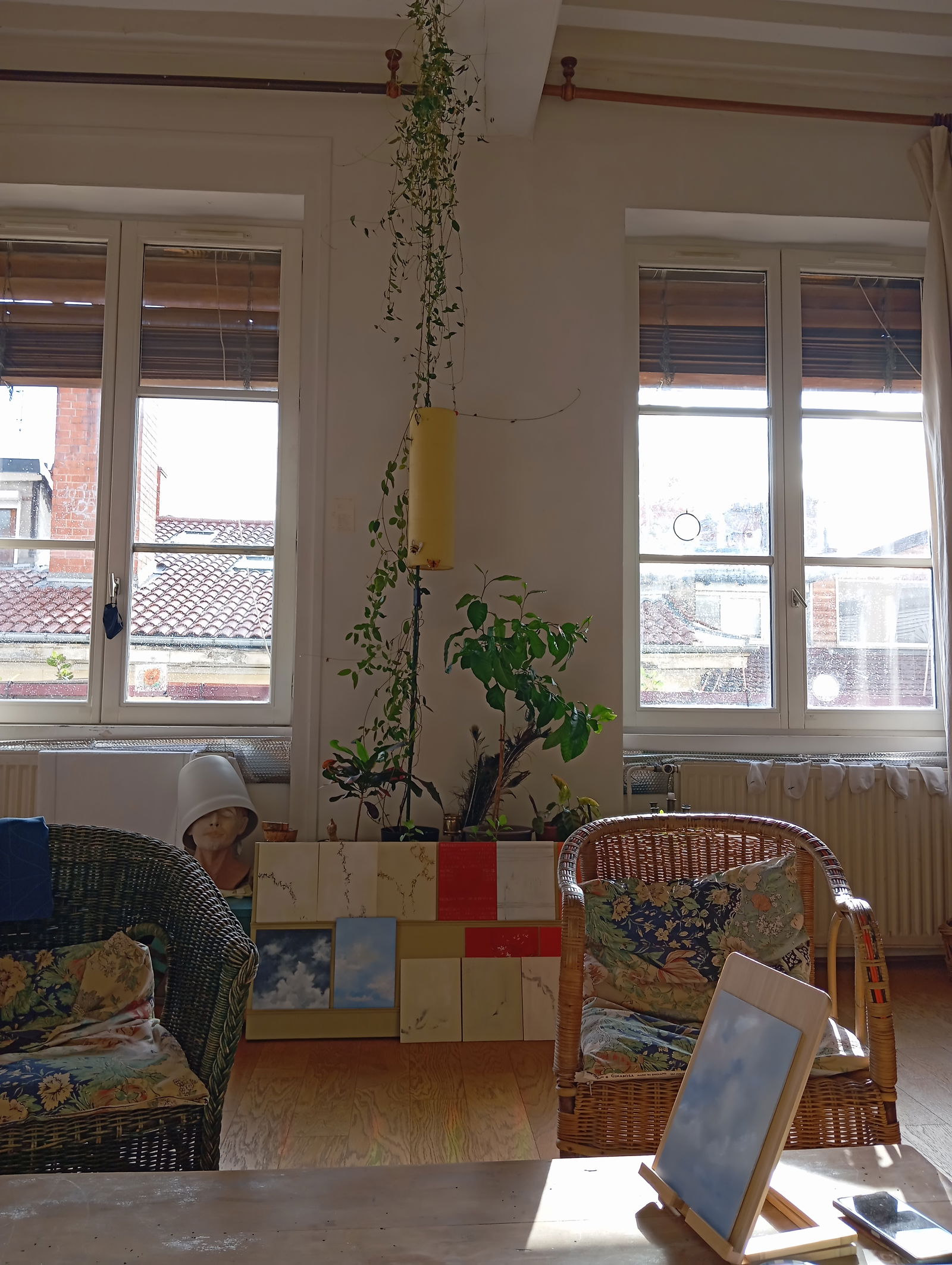 Homestay Lyon 165918